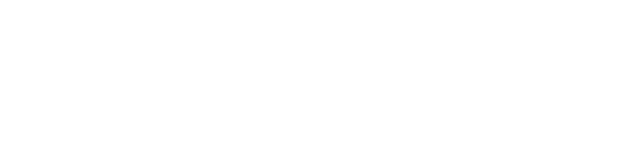 Erdgas Zuerich Transport AG Logo